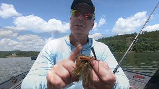 Chad Morgenthaler on the Tour Grade Football Jig