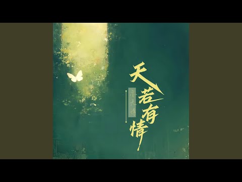 天若有情 (温柔版)