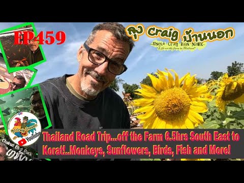 EP459 Thailand Road Trip-off the Farm 6hrs South to Korat! Monkeys, Sunflowers, Birds, Fish and More