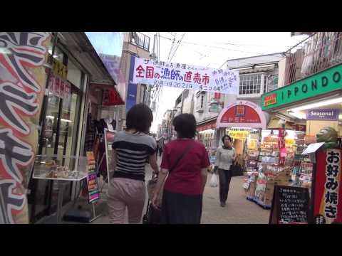 板橋区下赤塚駅周辺を動画で紹介【商店街に八百屋が４つも】