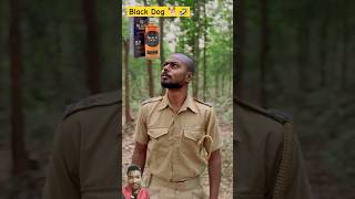 Black dog 🐕🤣 || #funny #surajrox #pushpa2 #comedy #trending #viralvideo #shorts #shortsfeed