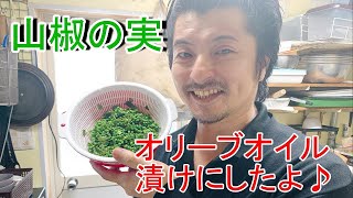 実山椒のオリーブオイル漬け【しびれが病みつき】