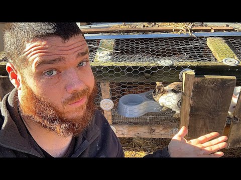 Homesteading & Life Tip: Improvise, Adapt, & Overcome