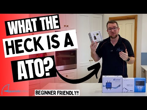 What the heck is an ATO? Beginner friendly!