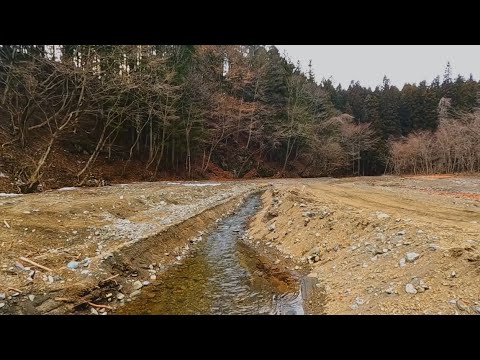 【8h】Relaxing River Sounds in a Winter Landscape with Bare Trees | Peaceful Nature Ambience