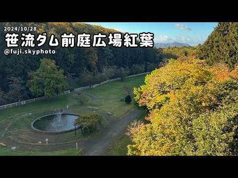 笹流れダム前庭広場紅葉🍁【1:40秒】2024/10/28