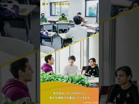 2025年度　国際教養学部