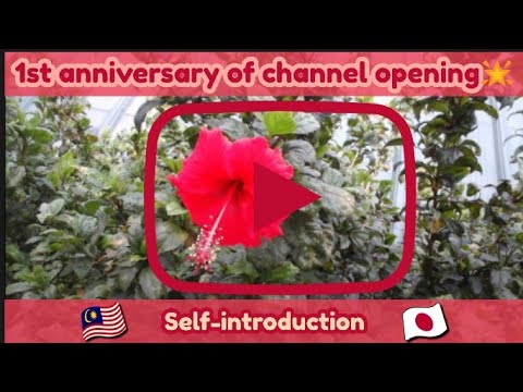 Thank you💗1st Anniversary of the opening of this channel🇲🇾🌟《Self Introduction》/チャンネル開設1周年㊗《自己紹介》