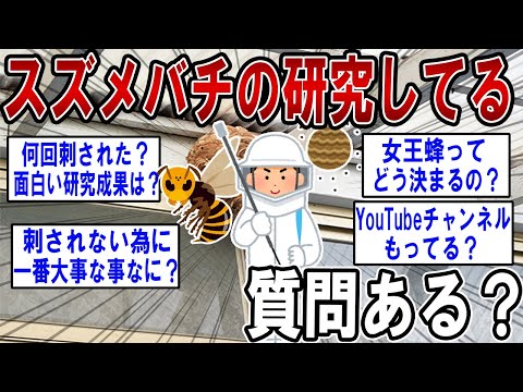 スズメバチの研究してるけどなにか質問ある？