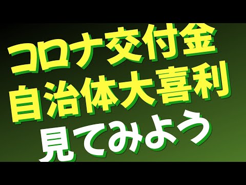 新型コロナウイルス感染症対応地方創生臨時交付金の使い道