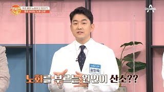 노화의 주범인 '활성산소'는 정확히 무엇? | 행복한 아침 585 회