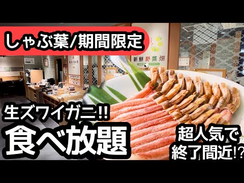 食べ放題！しゃぶ葉のカニ食べ放題！期間限定の人気ビュッフェで大食いしました！