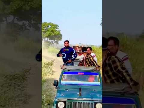 RHINO CHASING TOURISTS IN ASSAM , INDIA 🇮🇳