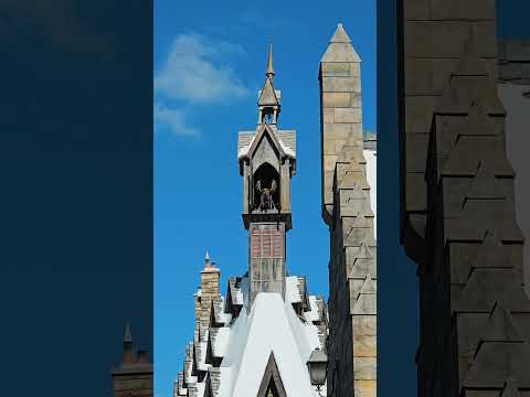 Wizarding World Of Harry Potter #japan #universalstudiosjapan #travelvlog #japantravel