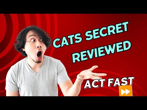 CATS SECRET: How to Add  cats to your nickname on telegram/ Cats update and Eligibility for AIRDROP