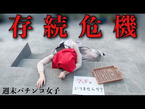 YouTube継続危機！ラッキートリガーで一発逆転なるか？！#168 🧑‍🍳献立予告:🍚🥩🥚☁️