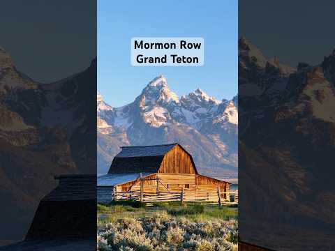 Mormon Row, Grand Teton. #nationalpark #travel #outdoors #ytshorts #shorts #wyoming #summer #short