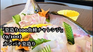 『姿造り100魚種チャレンジ』(9/100)【カンパチ姿造り】職場の同僚(Seiya)の作品です🐟