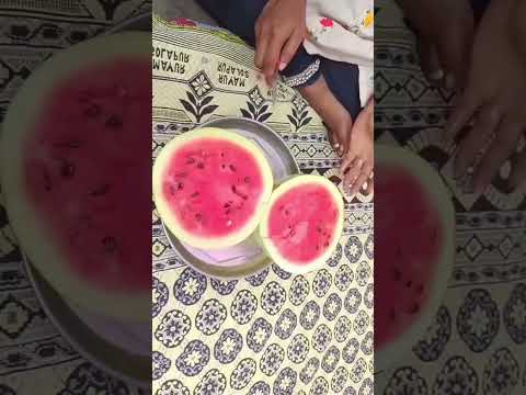 தர்பூசணி தர்பூசணி....🍉🍉#shortsviral #trending #தர்பூசணி #watermelon #vdj #vlogs #subcribemychannel