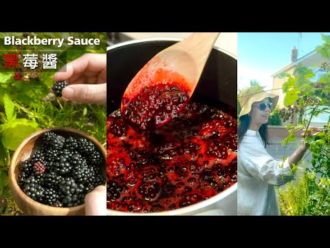 免費野莓任你採 ｜自製黑莓醬 、黑莓芝士蛋糕  ｜Homemade Blackberry sauce New York Cheese Cake  （CC）