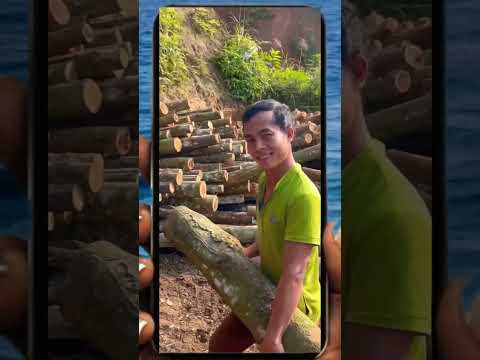 wood cutting with music  #woodworkings #woodcrafts #machine #woodprojects #woodworkingtools #shorts