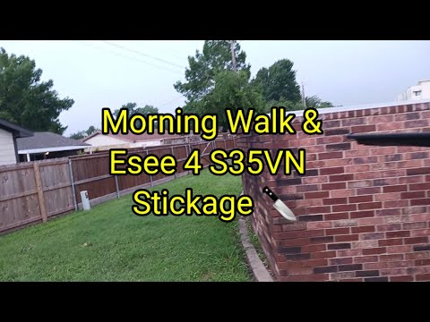 (1478) Morning Walk and Esee 4 S35VN throwing into plywood