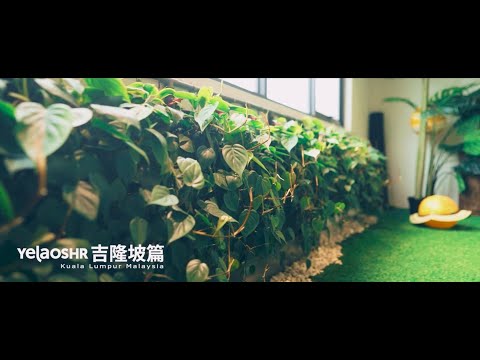 YELAOSHR | KL教师篇 KL Malaysia Teacher's Episode