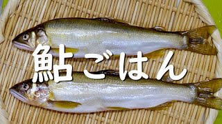 香り豊かな「鮎ごはん」。旬の旨みを味わえます。