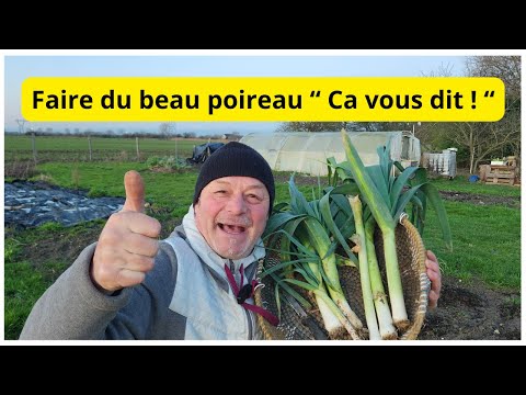 Comment faire du beau poireaux dans vos jardins ?