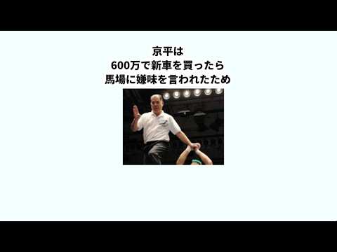 【レジェンドレフェリー】和田京平に関する雑学