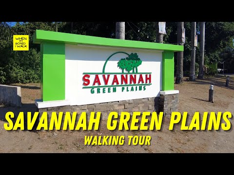 SAVANNAH GREEN PLAINS SUBD. PH 3 | WHEN IM BORED I WALK