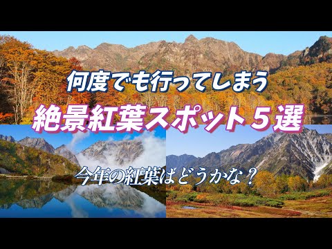 2024年の紅葉はどうかな❓ ”何度でも行ってしまう絶景紅葉スポット5選  天空の絶景紅葉”  行きたい場所みつかるかも！いや絶対見つかります！