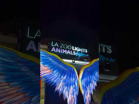 LA Zoo Lights