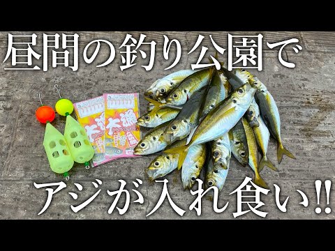 昼間の釣り公園でアジが入れ食い！150円サビキを使った格安ブッコミトリックが釣れすぎる！