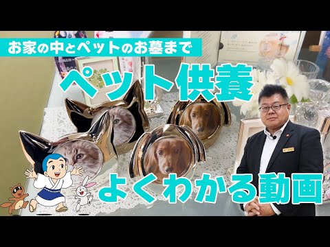 現代のペット供養の仕方！どう供養すればいいかわかります！