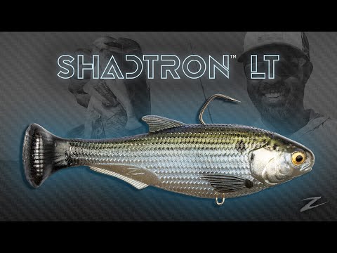 SHADTRON LT in Depth