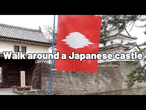 Walk around a Japanese Castel#japanesecastel #castel #sakura　＃11人の賊軍