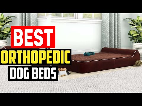 ✅Best Orthopedic Dog Beds in 2023