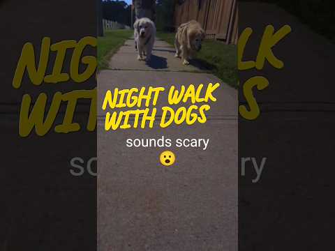 The night walk with dogs sounds scary #shorts #dog #funny