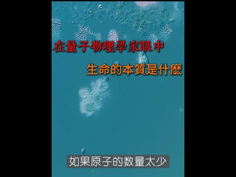 生命是什么2 1