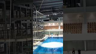 #10meter #diving #fail #sports #107b #5237d #training