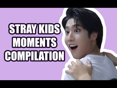 Stray Kids moments you haven't seen in every other compilation