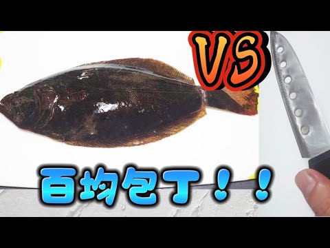 【料理】百均包丁でヒラメ薄造り挑戦！~Let'scooking~　#1    #料理　#刺身　#薄造り Usu tsukuri