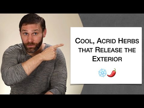 🌿 Herbology 1 Review - Cool Acrid Herbs that Release the Exterior (Extended Live Lecture)