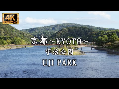 Japan  京都 Kyoto (宇治公園　Uji Park)