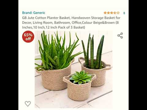 Amazon Finds_Planters below INR 699