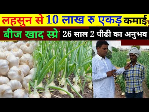 लहसुन की खेती 10 लाख एकड़ // lahsun  ki kheti kaise karen // how grow  garlic // garlic farming