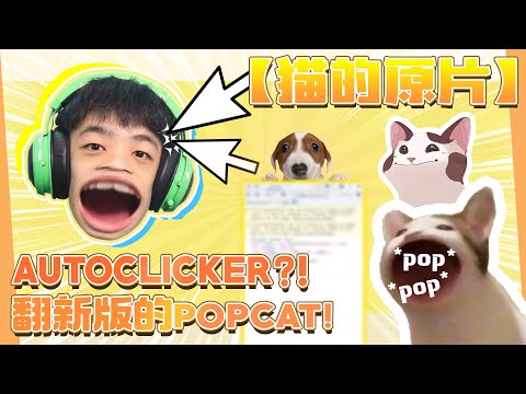 Pop Cat !! Pop Dog?? Pop Cat 猫的原片，电脑 autoclick！！😃😀| Jonas LCX 李承宪