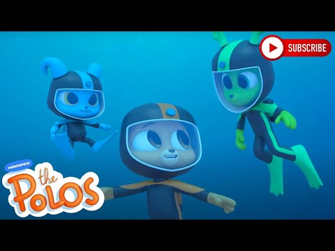 Diving in the ocean | The Polos | Adventure Learning | Learn At Home