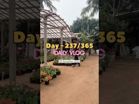 Day - 237/365 Days Challenge of Mission 10K subscribers #minivlog #shortvideo #shorts #nursery #yt